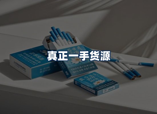 专业团队办公环境